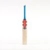 2024 Gray Nicolls Tempesta 1.1 300 Cricket Bat