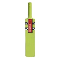 2024 Gray Nicolls Cloud Catcher