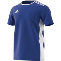 Camp Active Adidas Blue Training Jersey