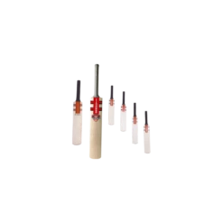 2024 Gray Nicolls Mini/Signature Bat