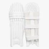 2024 DSC Xlite LE Batting Pads