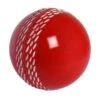 Gray Nicolls Velocity Ball