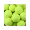 Feed Buddy Tennis Balls - 6 Pack